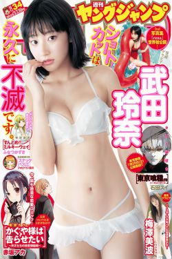 九部顶级9.5评分电视剧