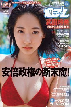 宁晚晚厉墨寒小说全文免费阅读