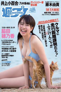 恰似故人归